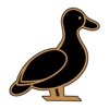 The Brown Duck