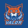 Valor Collegiate Academies