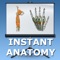 Learn human anatomy with this app - our series of lectures on the Limbs