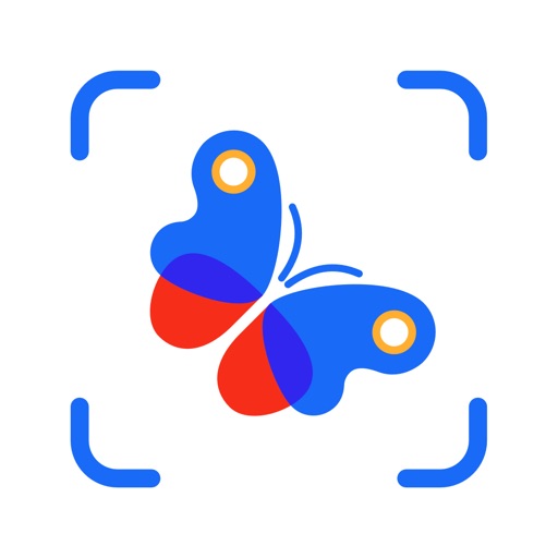 Picture Insect: Bug Identifier Download