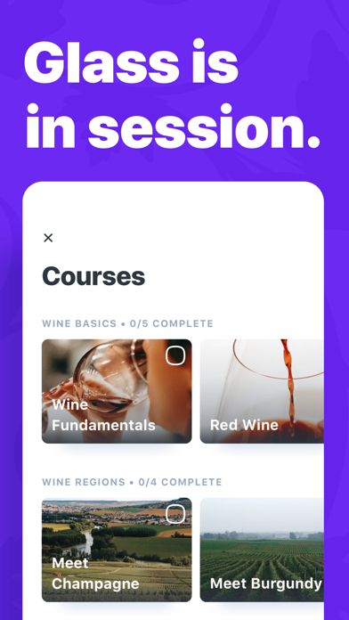 True Wine Screenshot