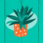 Plant identification by leaf