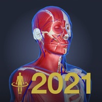 3D해부학 teamLabBody2021