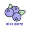 蓝莓集市是一款为线下门店定制的app，为用户营造愉悦便捷的购买体验,专业购物，是一站式的礼品选购平台，可以选购任何场合需要的礼物，满足用户各种场合的需求。