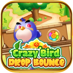 Crazy Bird Drop Bounce