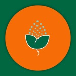 Jatu