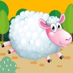 Sheep Run - The Journey