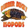 Rubber Ducky Isopods