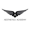 Aesthetics Academy Pro