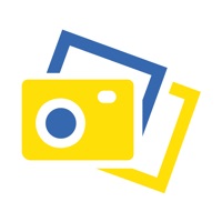 Capture - Winylo