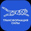 Трансформация силы