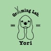 Grooming Lab. Yori