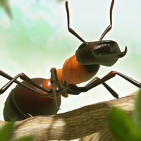 Ant War - Kingdom Battles apk