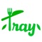 Tray is a personalized app that makes cooking and trying new foods more enjoyable