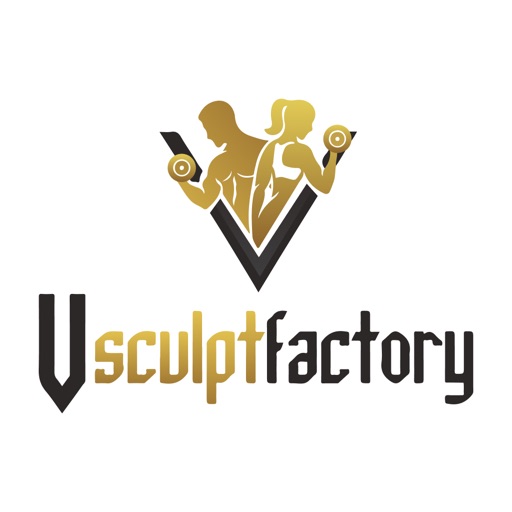 Vsculptfactory