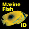 Marine Fish Maldives - Gary Cobb