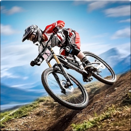 200 Mountain Bike Wallpapers  Wallpaperscom