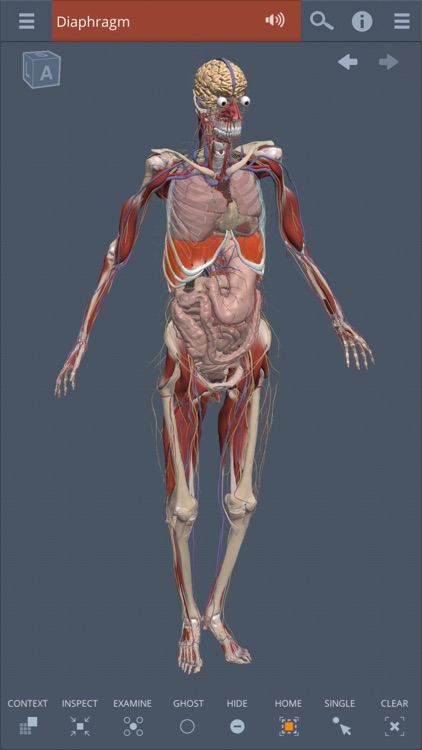 Primal's 3D Whole body screenshot-0