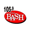 105.9 The Bash