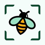 Bug Identifier - Insect ID App