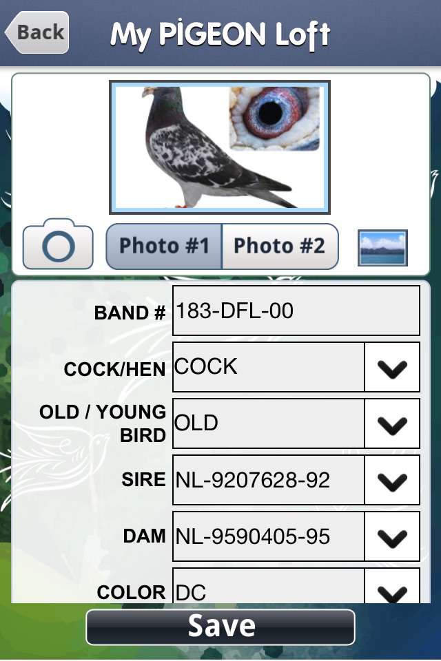 My Pigeon Loft HD screenshot 3