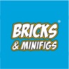 Bricks and Minifigs OKC