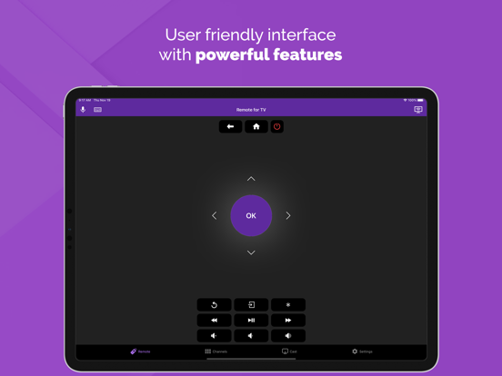 iPad Image of TV Remote - Universal Control