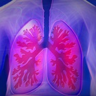 Top 30 Education Apps Like Respiratory System Anatomy - Best Alternatives