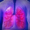 Get respiratory system anatomy, common diseases, diagrams and quizzes