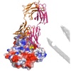 HIV Antibody Database