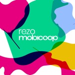 Rezo Mobicoop