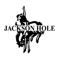 Jackson Hole Burgers NY