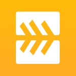 الجرس الذهبي للمزادات