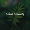 Silent Serenity is a perfect sleep solution for those who would like to fall asleep easily and wake up energized with the help of special breathing technique, meditation sessions, calming sounds and refreshing alarm melodies