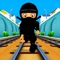 Icon Ninja Subway Rush