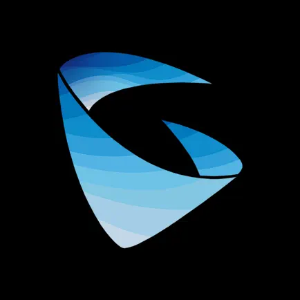 Grandstream Wave Читы