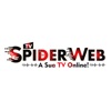 TV Spider Web