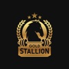 Gold Stallion