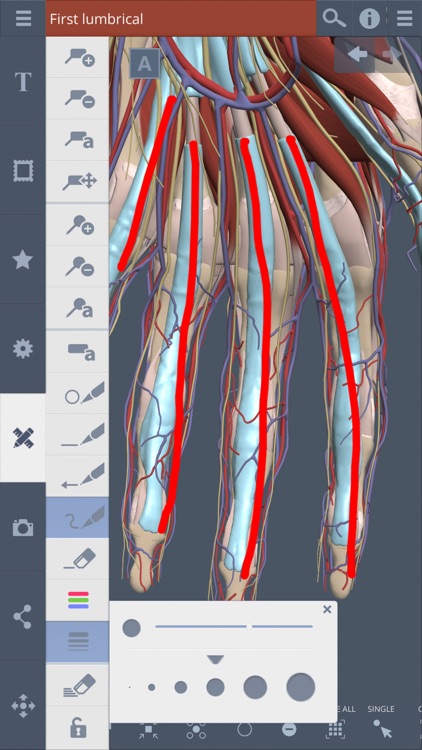 Primal's 3D Forearm & Hand screenshot-4