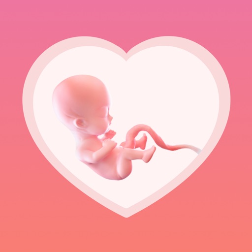 Pregnancy Tracker Week By Week