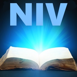 NIV Bible* - New International