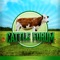 Mobile application for Cattle Forum
