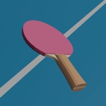 Table Tennis PPWW