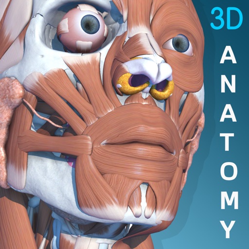 Visual Anatomy 3D - Human