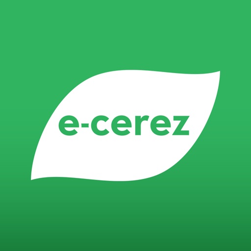 e-çerez