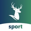 Reindeer Sports-PalmScore