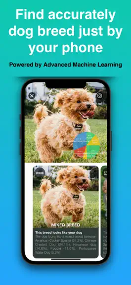 Game screenshot Dog Identifier - Puppy Scanner mod apk