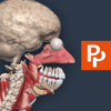 Primal's 3D Human Anatomy Quiz - Pharma Intelligence UK Ltd