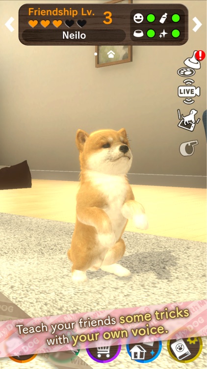 with My DOG screenshot-8