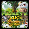 Icon Fauna TV